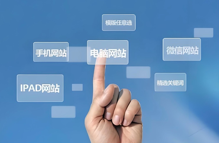 域名网站