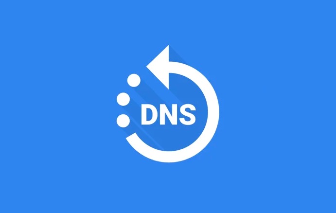 私人DNS